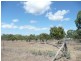 269 Euri Road, Bowen QLD 4805