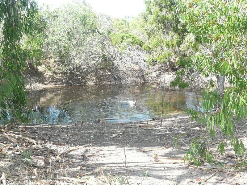 269 Euri Road, Bowen QLD 4805