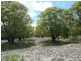74 Telegraph Road, Bowen QLD 4805