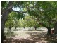 74 Telegraph Road, Bowen QLD 4805