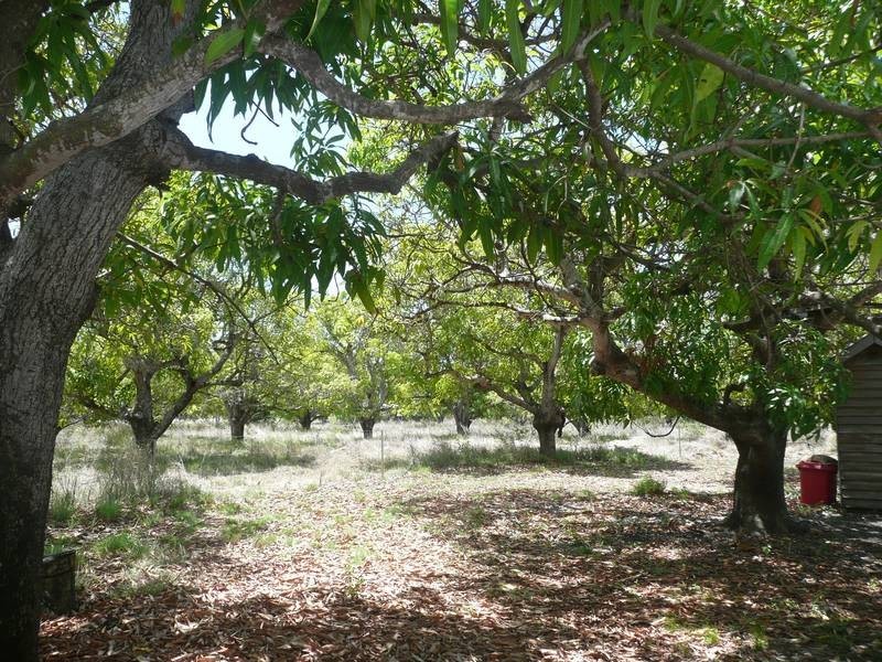 74 Telegraph Road, Bowen QLD 4805