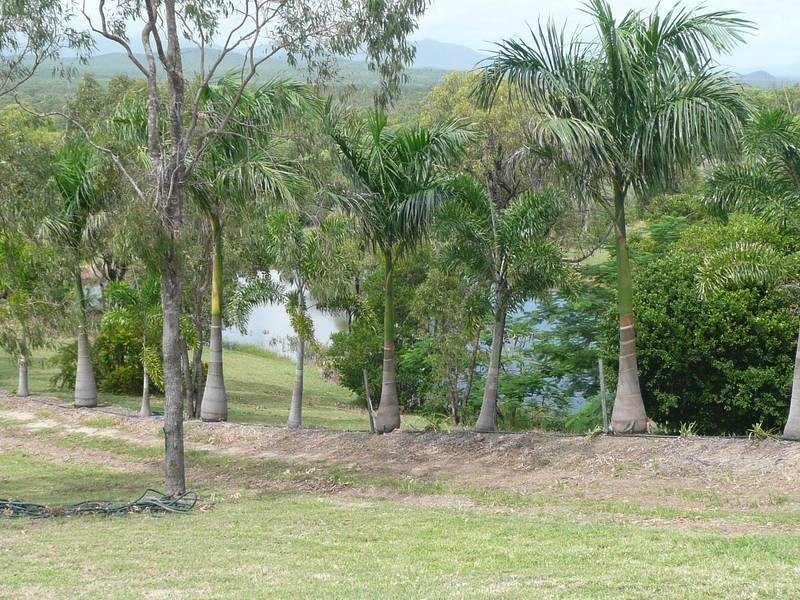 69 McDonald Close, Bowen QLD 4805