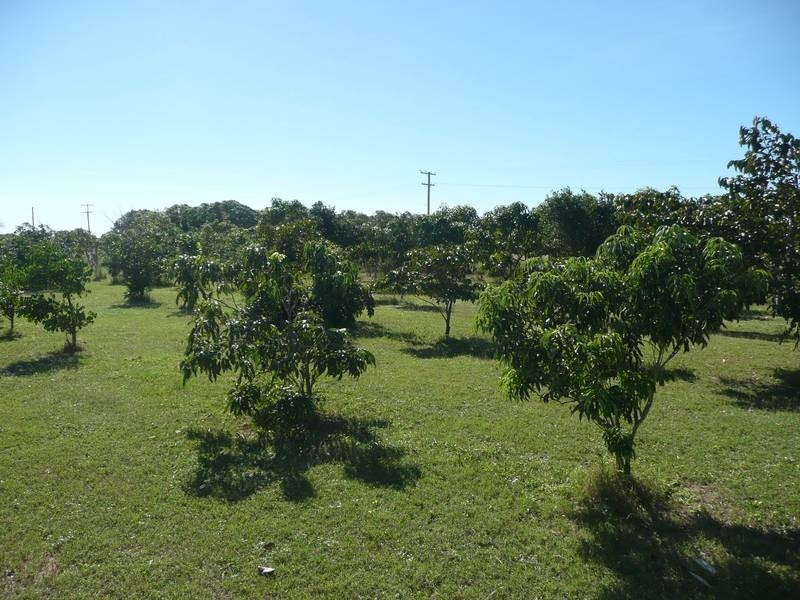 263 Kelsey Road, Bowen QLD 4805