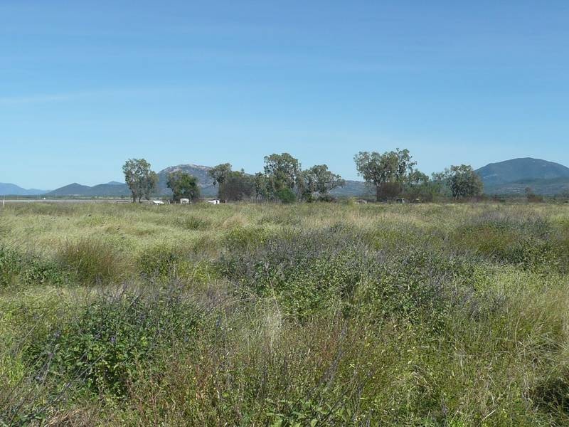 263 Kelsey Road, Bowen QLD 4805