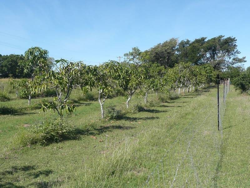 263 Kelsey Road, Bowen QLD 4805