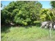43 Creek Street, Bowen QLD 4805