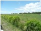 Lot 1,  Brooker Lane, Bowen QLD 4805