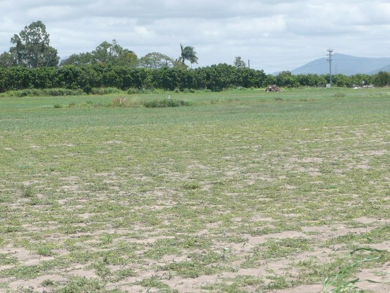 Lot 1,  Brooker Lane, Bowen QLD 4805