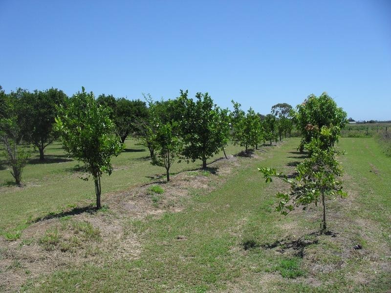 240 Euri Road, Bowen QLD 4805