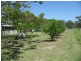 240 Euri Road, Bowen QLD 4805