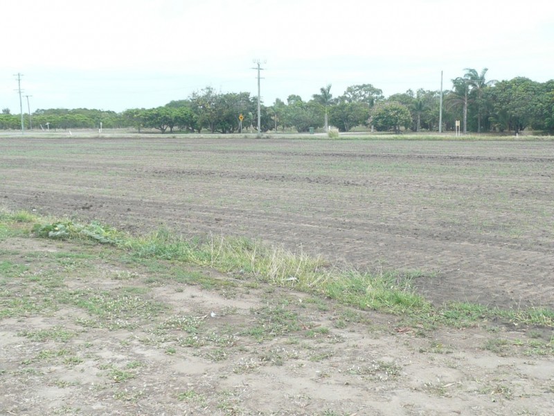 79 Inverdon Road, Bowen QLD 4805