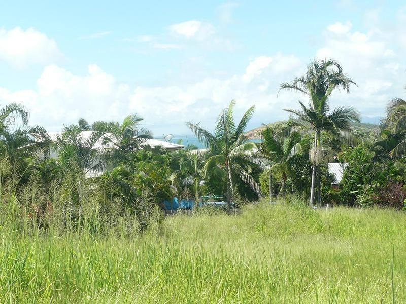 2 Avicennia Street, Bowen QLD 4805