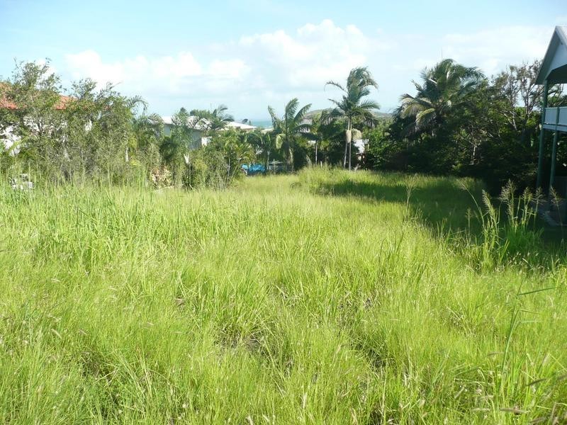 2 Avicennia Street, Bowen QLD 4805