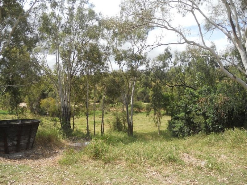 8285 Collinsville Mt Coolon Road, Collinsville QLD 4804