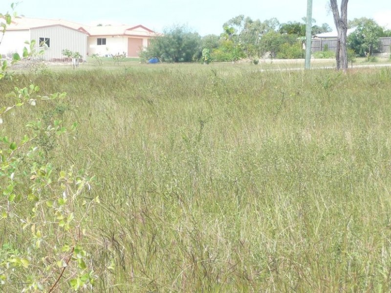 69 Brampton Drive, Bowen QLD 4805