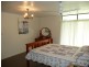 L24 & 29 Mt Coolon Road, Collinsville QLD 4804