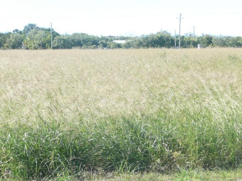 37 Betzels Lane, Bowen QLD 4805