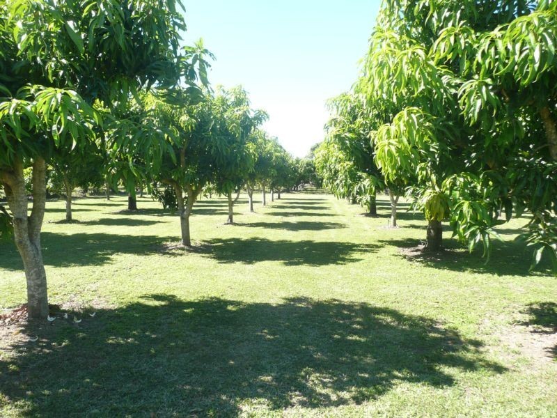 299 Inverdon Road, Bowen QLD 4805