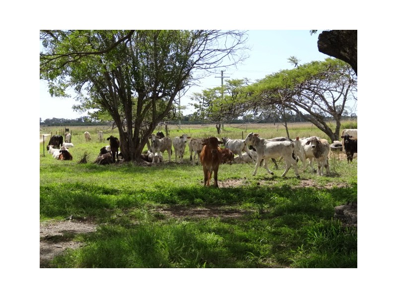 281 Telegraph Road, Bowen QLD 4805