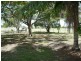 68 Tollington Road, Bowen QLD 4805