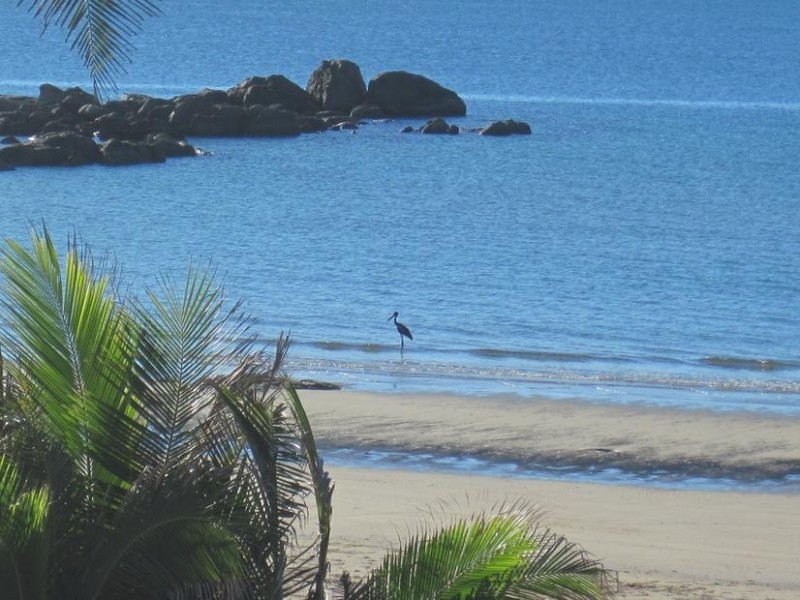 15 Bluewater Parade, Bowen QLD 4805