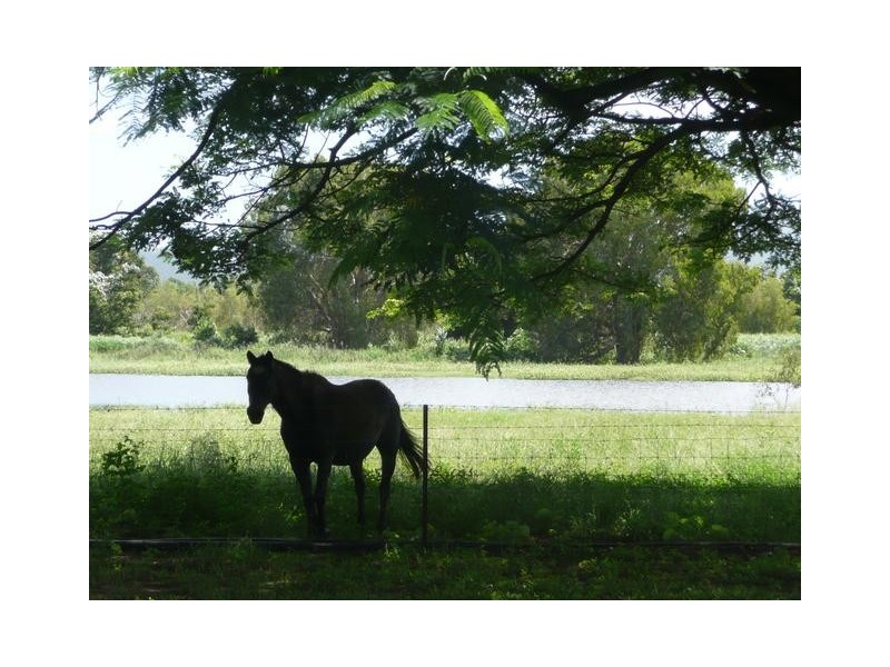 102 Ferguson Road, Bowen QLD 4805