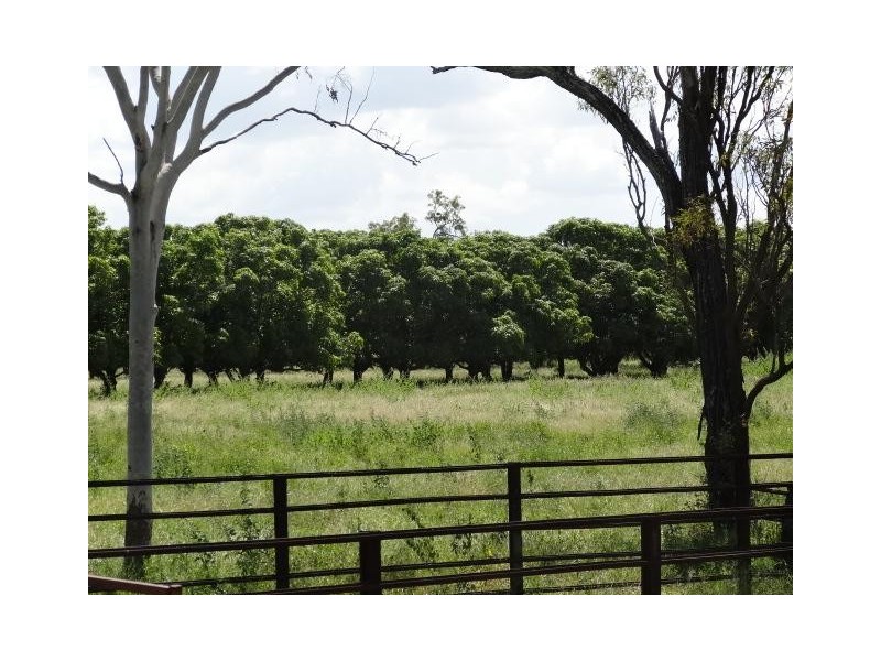 353 Thurso Road, Bowen QLD 4805