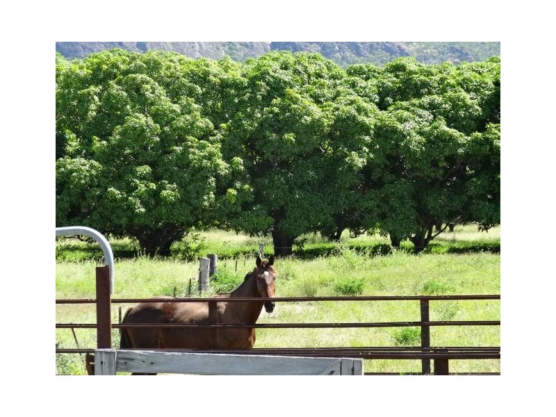 353 Thurso Road, Bowen QLD 4805