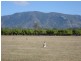 3113 Collinsville Road, Bowen QLD 4805