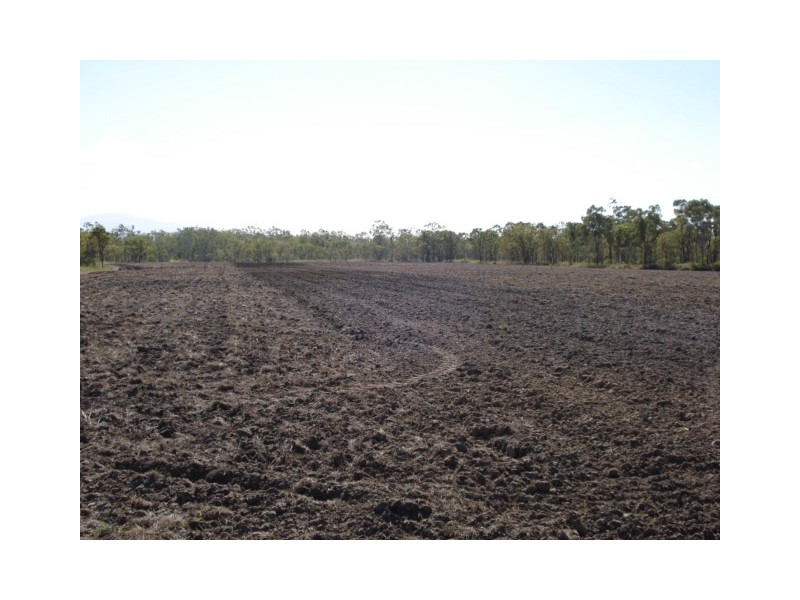 3113 Collinsville Road, Bowen QLD 4805