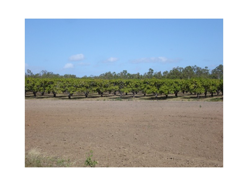 3113 Collinsville Road, Bowen QLD 4805
