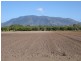 3113 Collinsville Road, Bowen QLD 4805