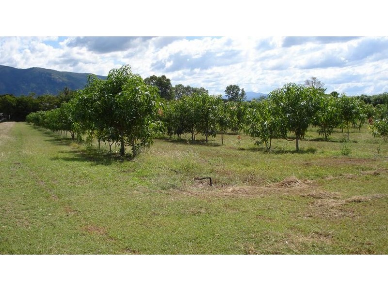 3113 Collinsville Road, Bowen QLD 4805