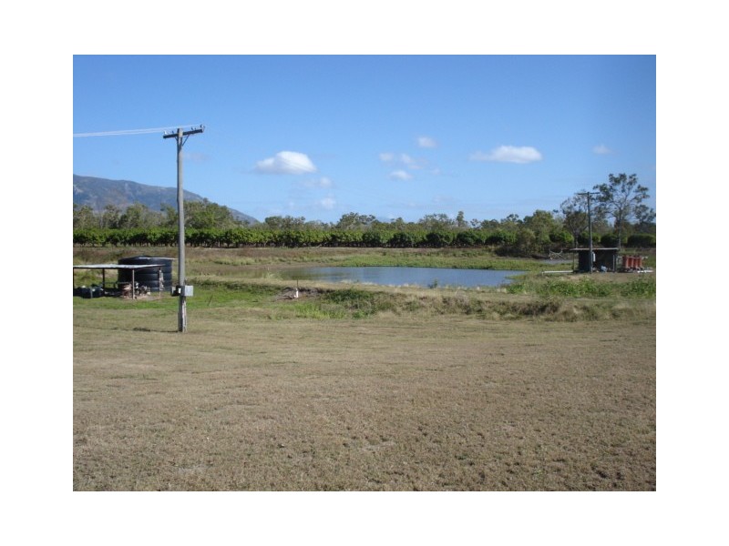 3113 Collinsville Road, Bowen QLD 4805