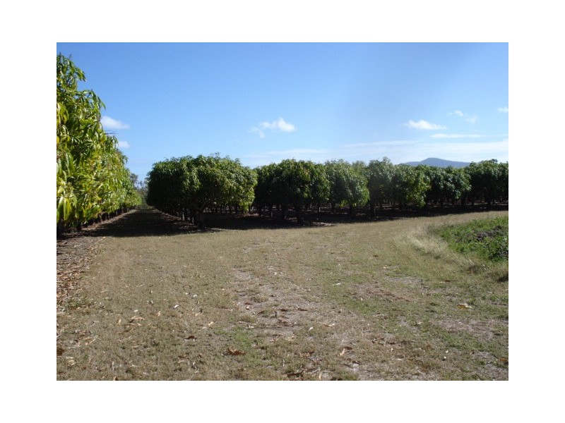 3113 Collinsville Road, Bowen QLD 4805