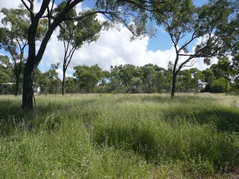 64 Africandar Road, Bowen QLD 4805