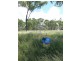 64 Africandar Road, Bowen QLD 4805