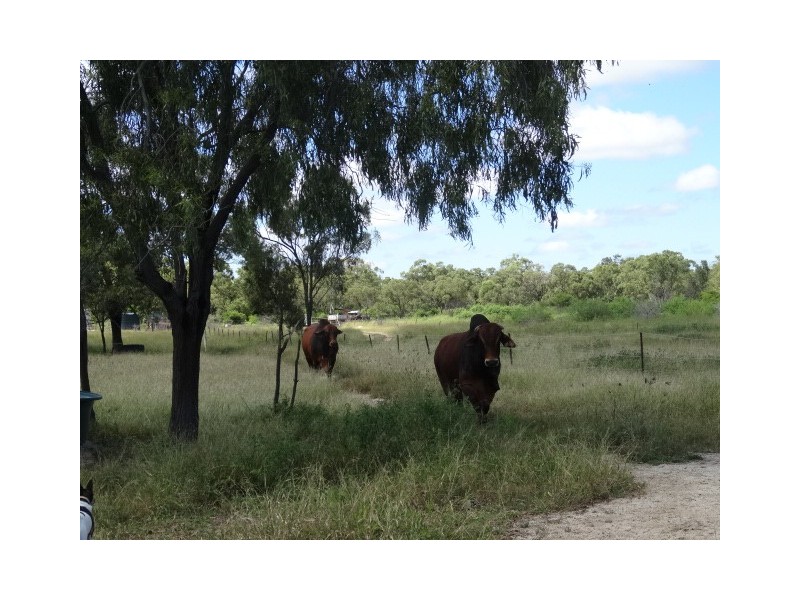 717 Bootooloo Road, Bowen QLD 4805