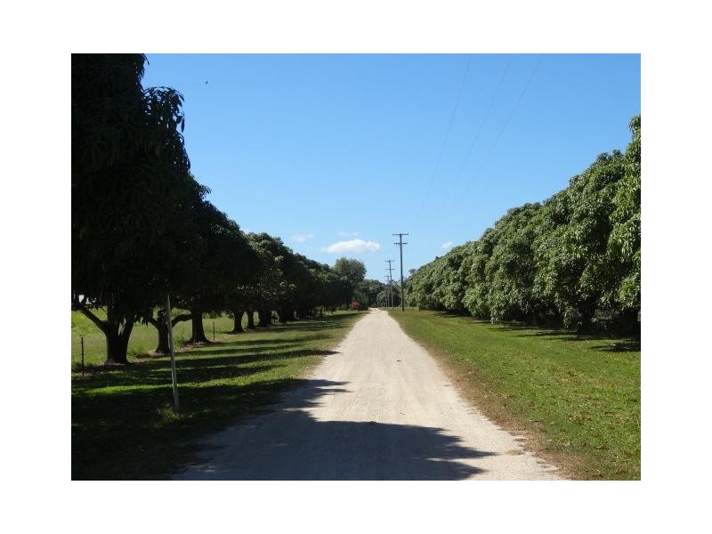 29 Potts Road, Bowen QLD 4805