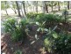 195 Kelsey Road, Bowen QLD 4805