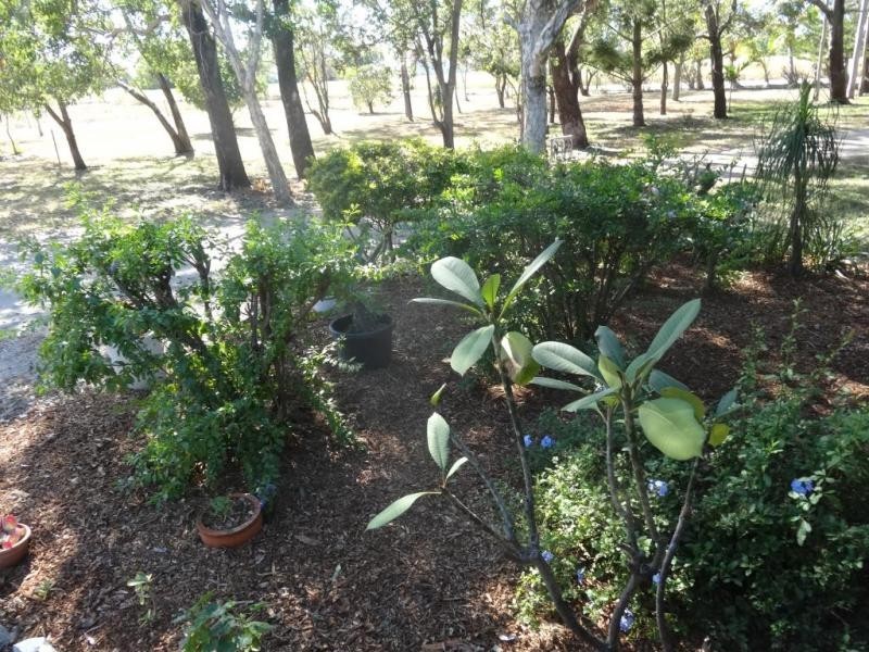 195 Kelsey Road, Bowen QLD 4805