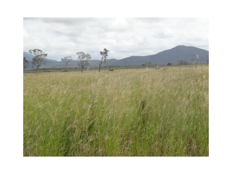 195 Kelsey Road, Bowen QLD 4805