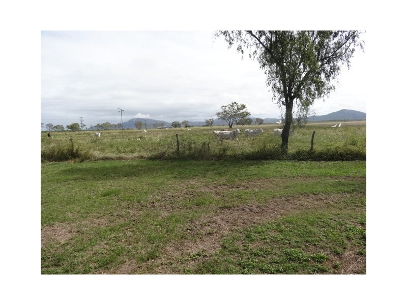 195 Kelsey Road, Bowen QLD 4805