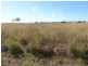 Lot 118 Balaams Road, Bowen QLD 4805