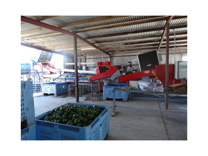 Lot 118 Balaams Road, Bowen QLD 4805