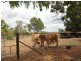 248 Mt Buckley Road, Bowen QLD 4805