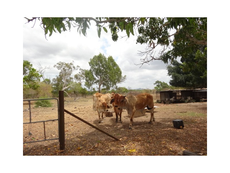 248 Mt Buckley Road, Bowen QLD 4805