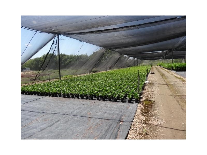 427 West Euri Road, Bowen QLD 4805