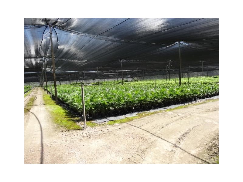 427 West Euri Road, Bowen QLD 4805