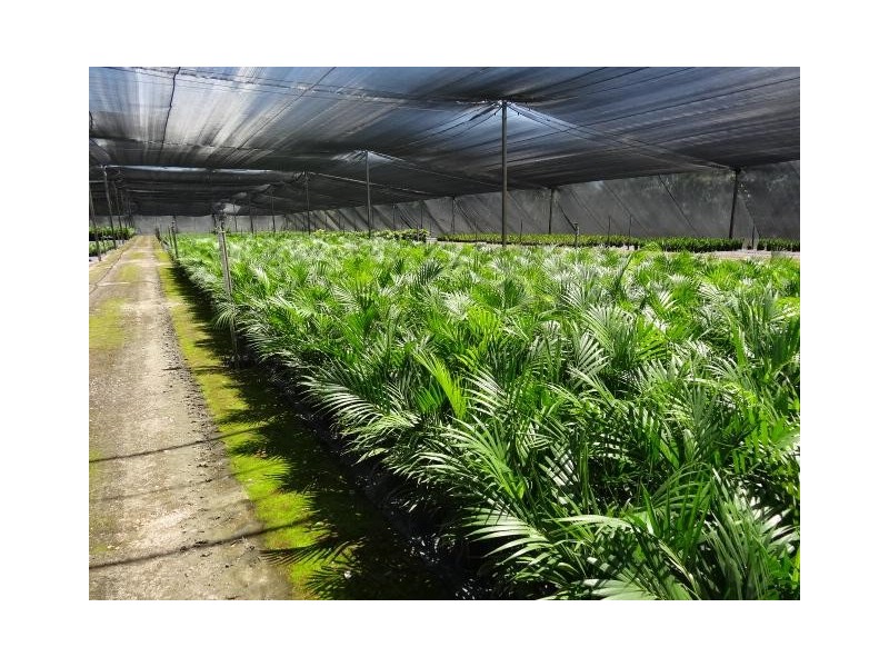 427 West Euri Road, Bowen QLD 4805